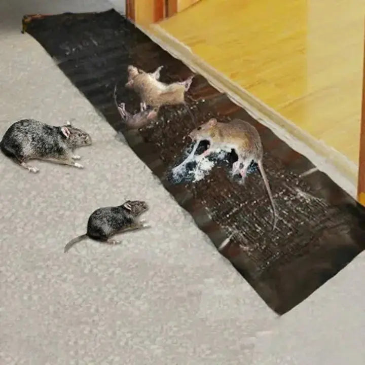 Rodent Glue Trap Extra-Strong Adhesion Non-Toxic & Pet-Safe
