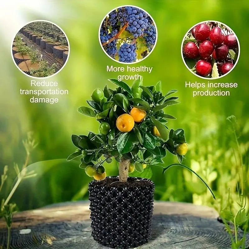 Root Guide Trees & Shrubs Weather-Resistant Plastic