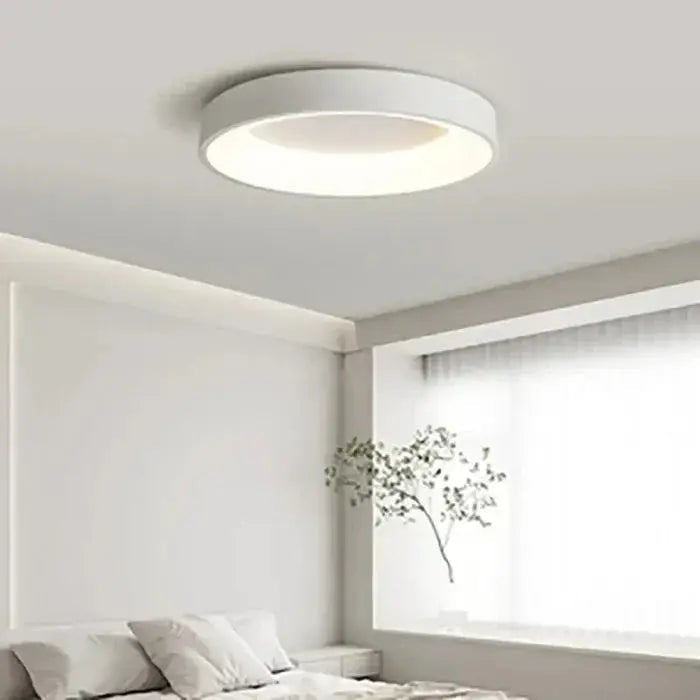 Round Ceiling Light Integrated LED Warm White Low Power