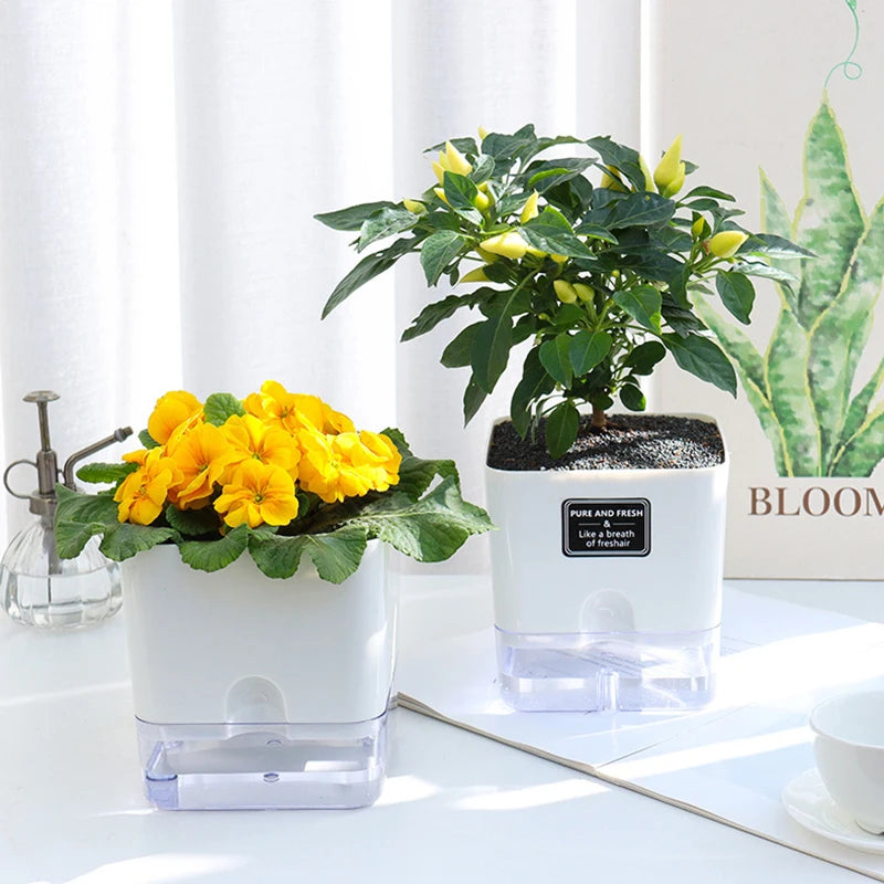 Self-Watering Planter Cotton Wick Visible Water Level