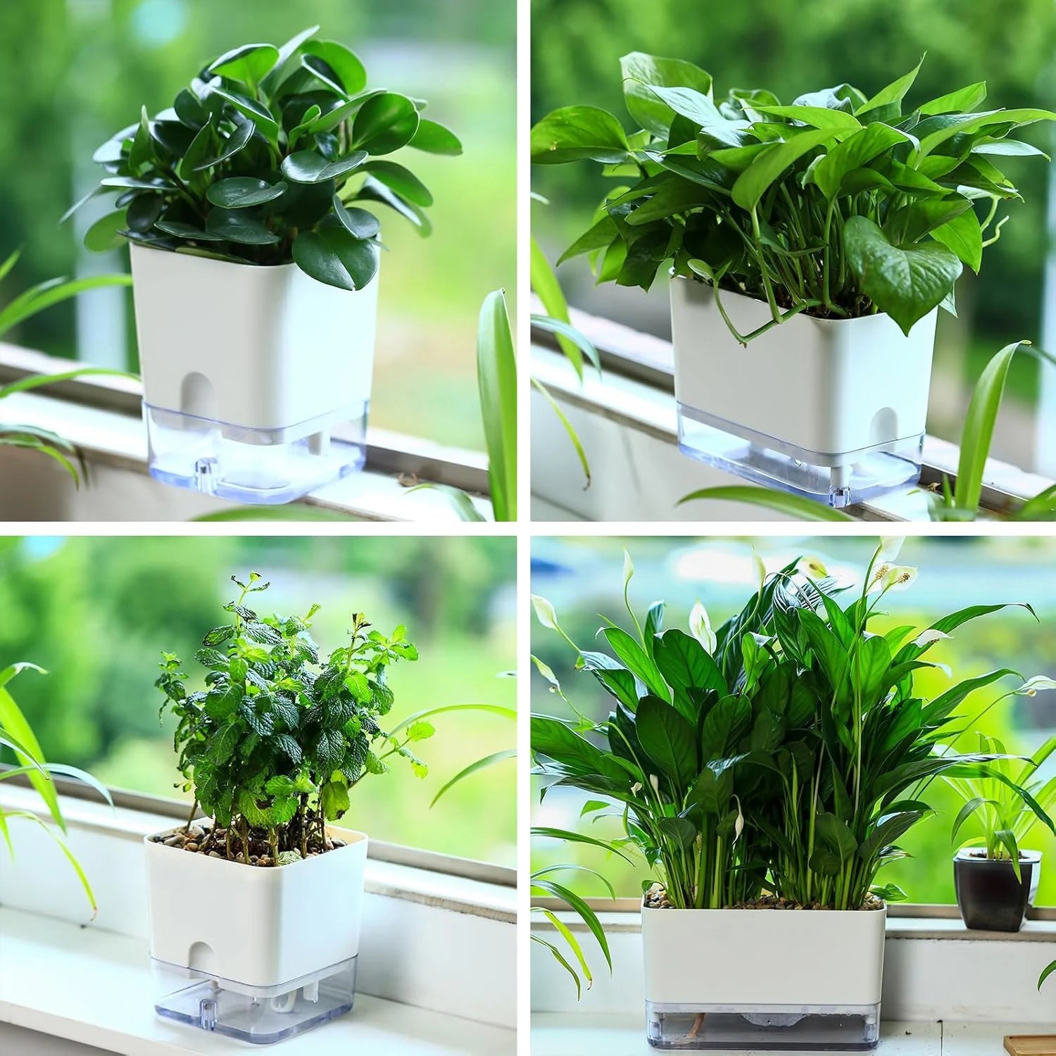 Self-Watering Planter Cotton Wick & Visible Water Level