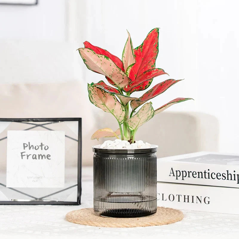 Self-Watering Planter Visible Water Level