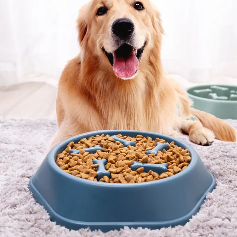 Slow Feeder Bowl Raised Silicone Ridges Dishwasher Safe