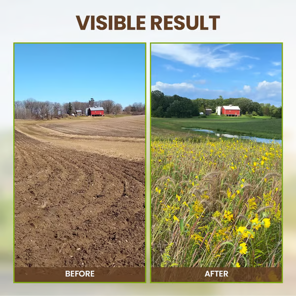 Soil Activator Powder Loosens Compacted Soil Boosts Nutrient Uptake