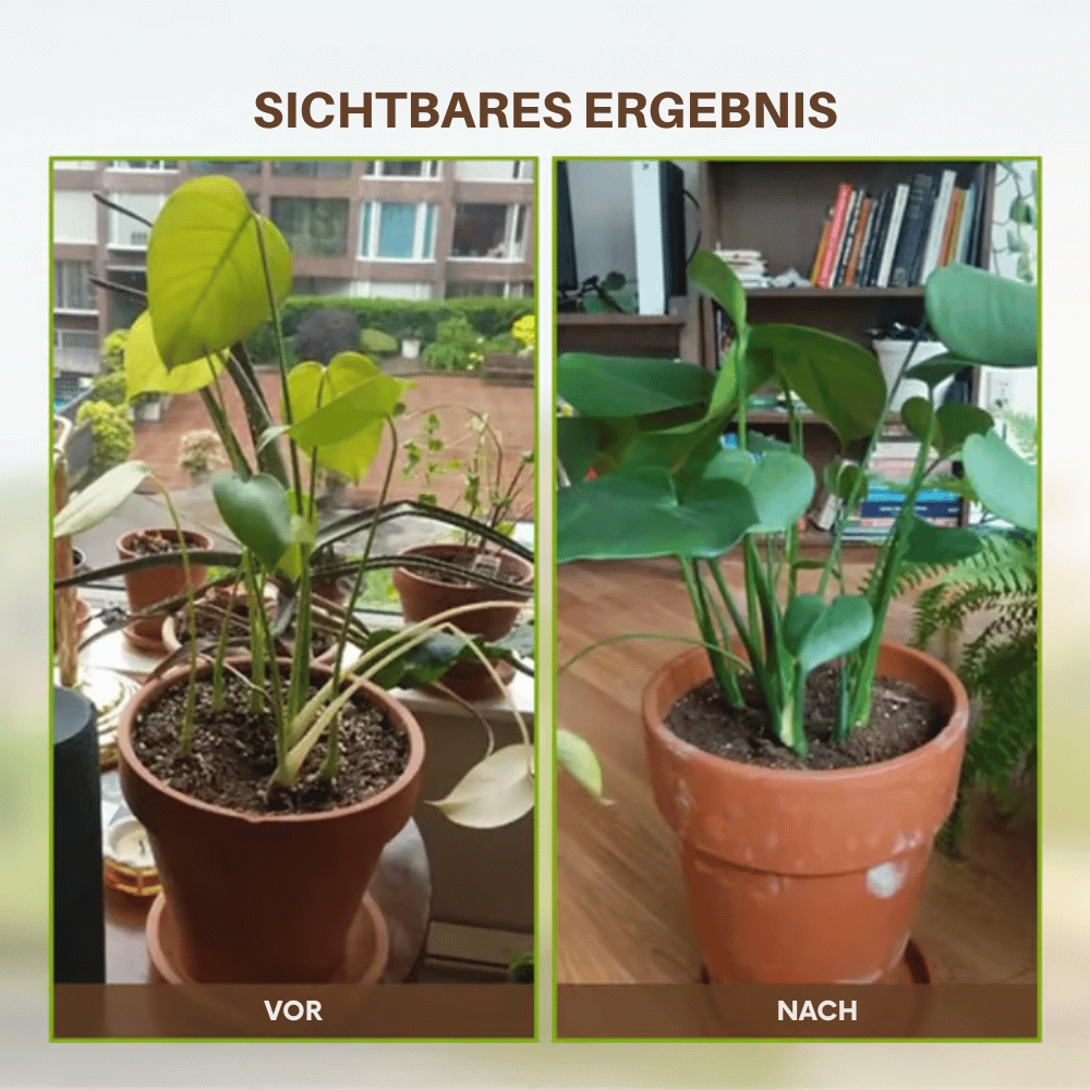 Soil Activator Powder Loosens Compacted Soil Boosts Nutrient Uptake