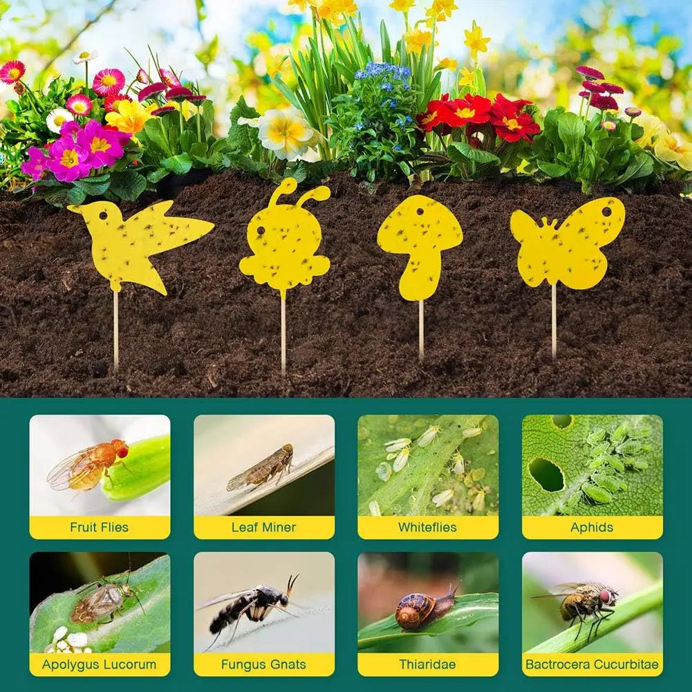 Sticky Traps Chemical-Free & Non-Toxic UV-Resistant 59 Pack