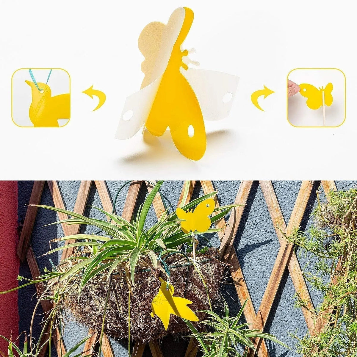 Sticky Traps Chemical-Free & Non-Toxic UV-Resistant 59 Pack