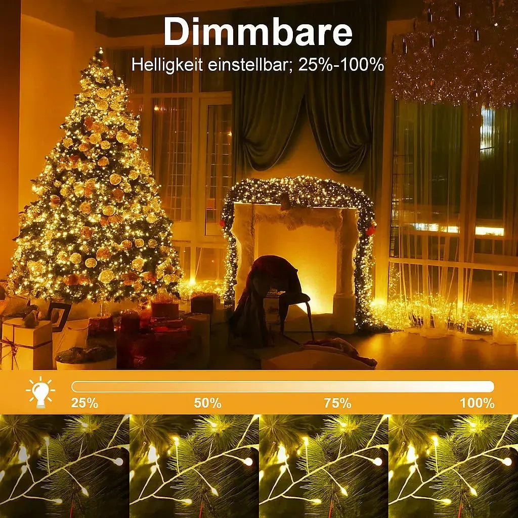 String Lights Copper Wire 300 LEDs USB IP65