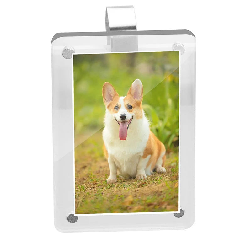 Sun Visor Photo Clip Universal Fit Crystal-Clear Acrylic