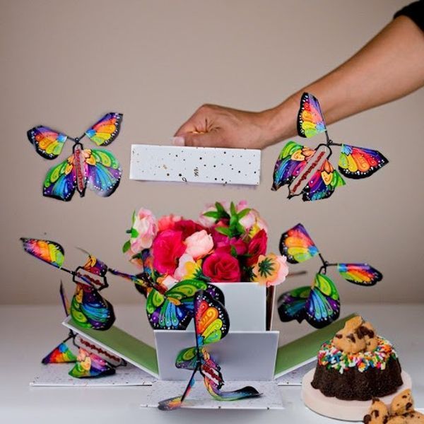 Surprise Box Wind-Up Butterflies Set of 5