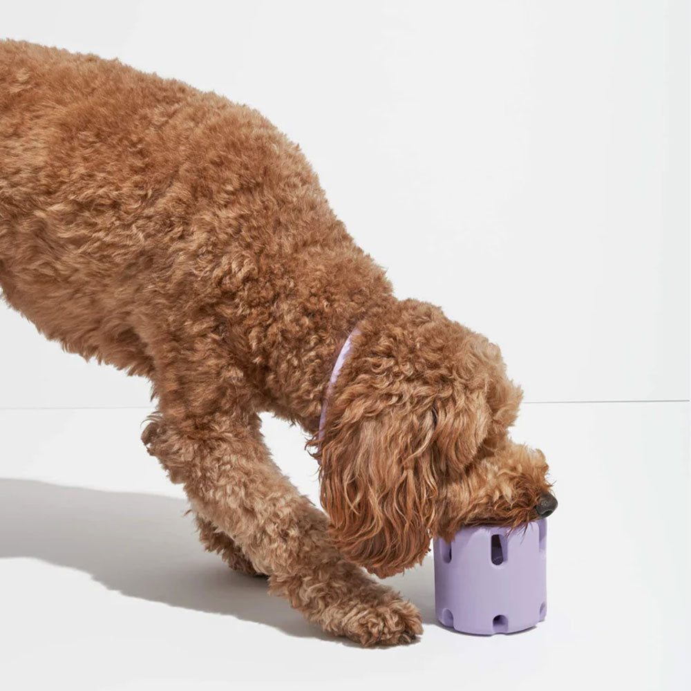 Tennis Dog Chew Toy Interactive Puzzle & Dental Cleaning Textures