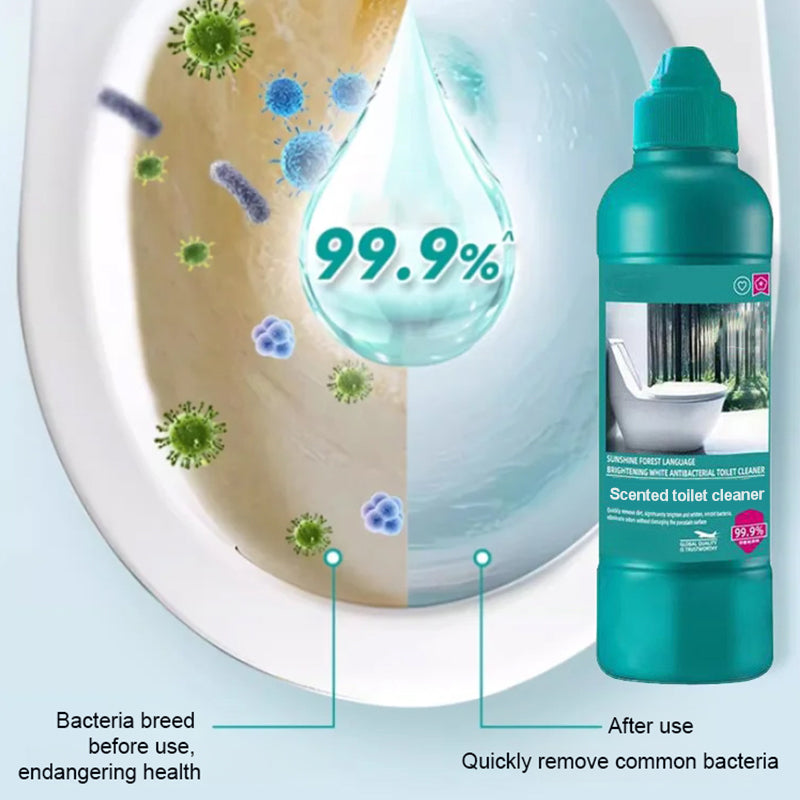 Toilet Cleaner Thick Gel Pointed Nozzle Forest Scent
