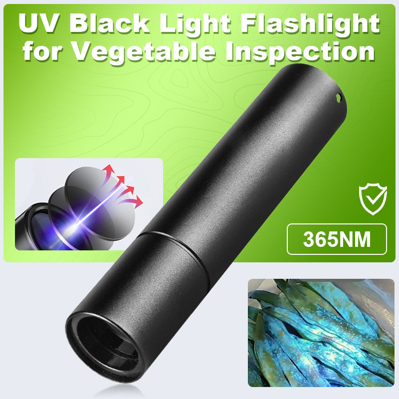 UV Flashlight 365nm 10W Long Range