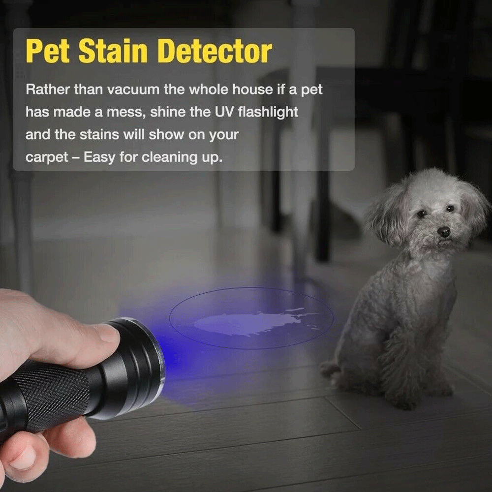 UV Flashlight 395nm Adjustable Brightness IPX4