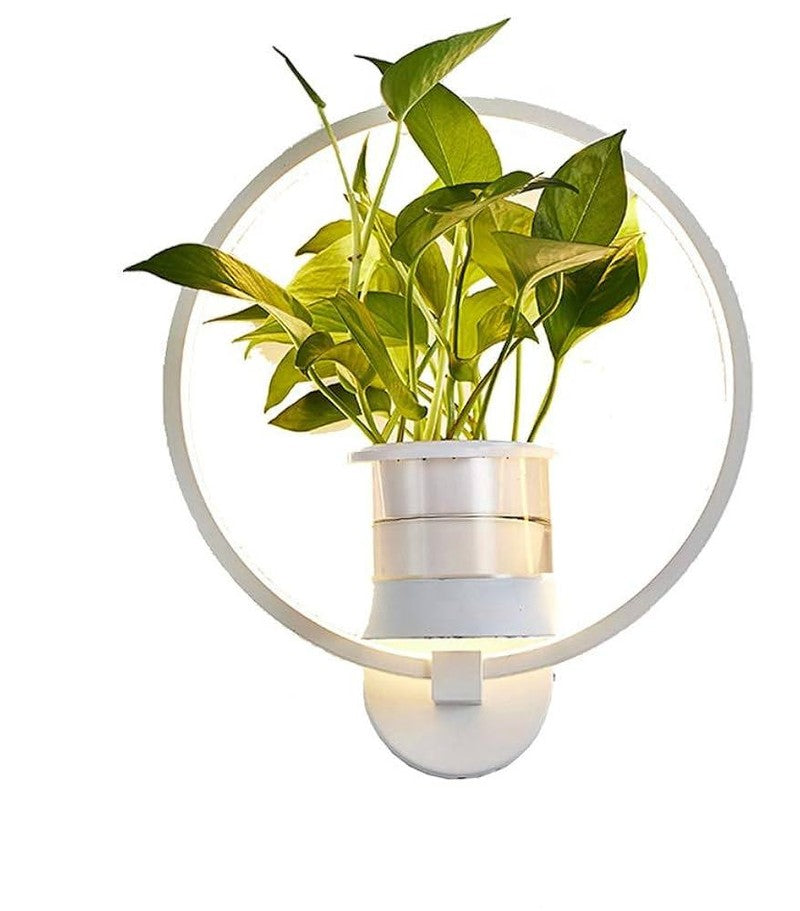 Wall Lamp Round Glass Plant Holder Warm White