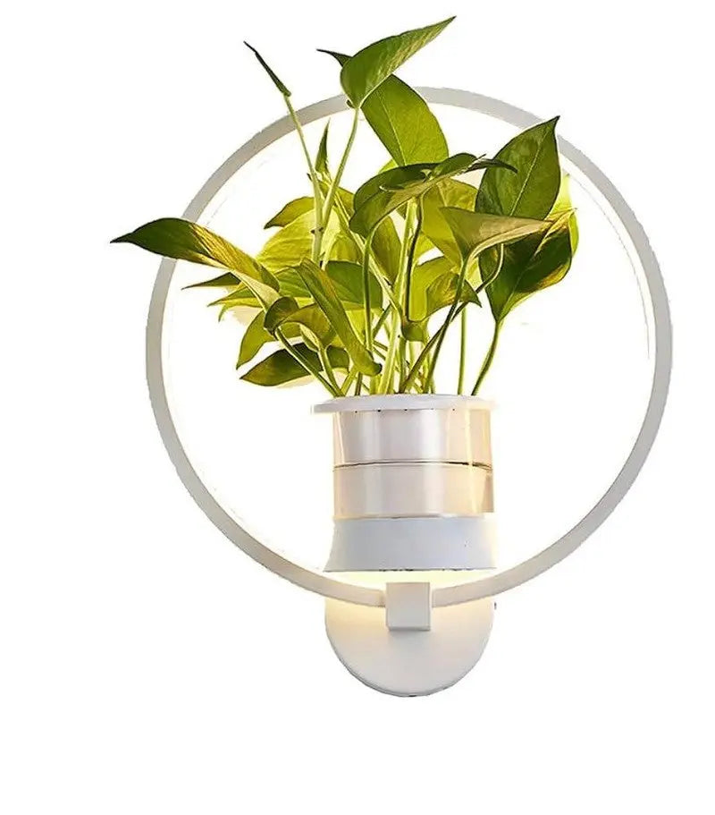 Wall Light Space-Saving Botanical Plant Accent Metal & Glass