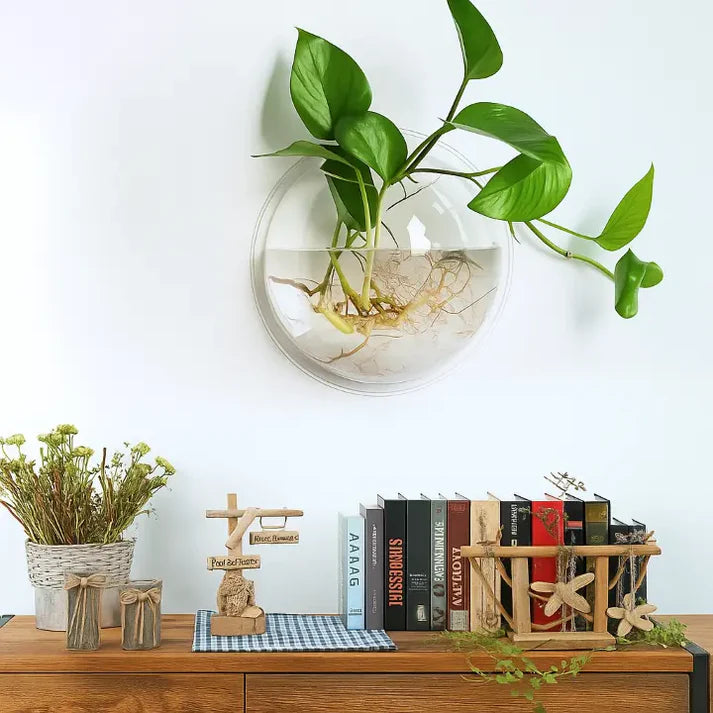 Wall Plant Holder Self-Adhesive No-Drill Acrylic