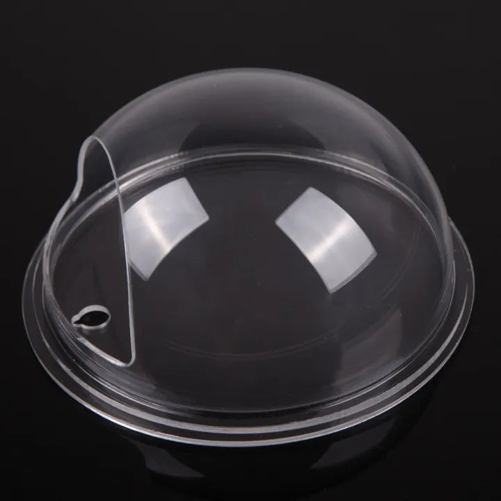Wall Plant Holder Self-Adhesive No-Drill Acrylic