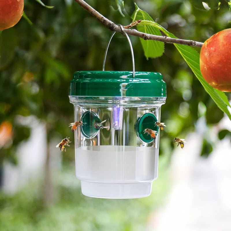 Wasp Trap Solar LED Double-Entry Weatherproof