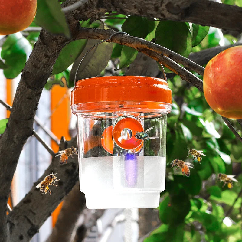 Wasp Trap Solar LED Double-Entry Weatherproof