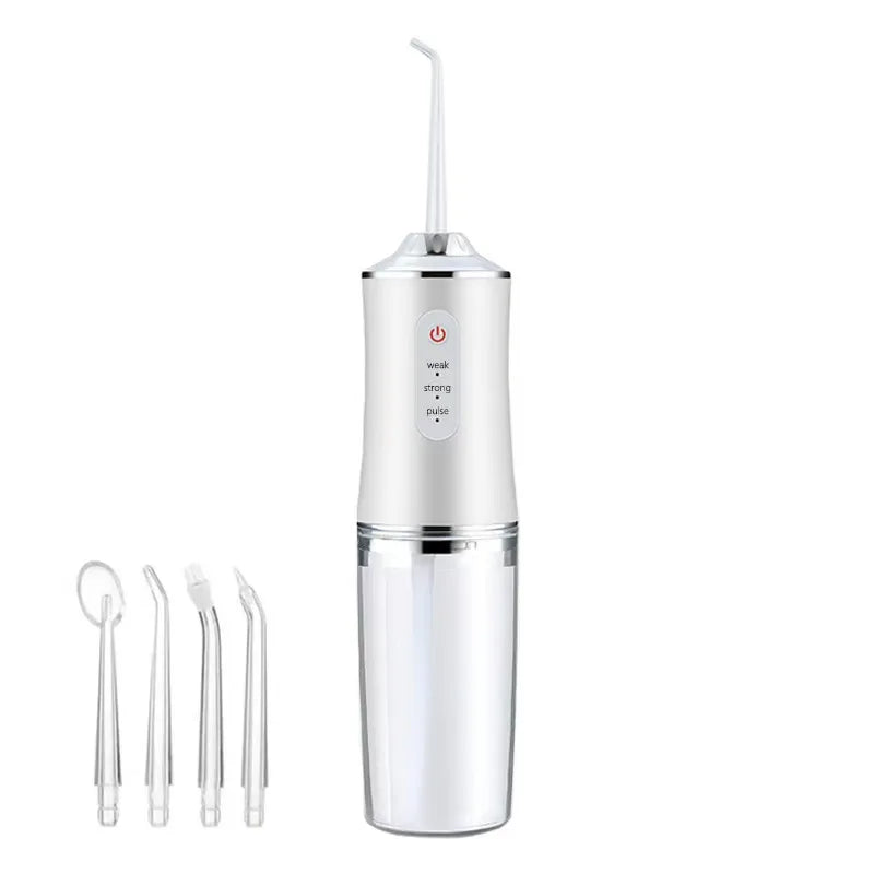 Water Flosser Portable IPX7 Waterproof 4 Replaceable Tips
