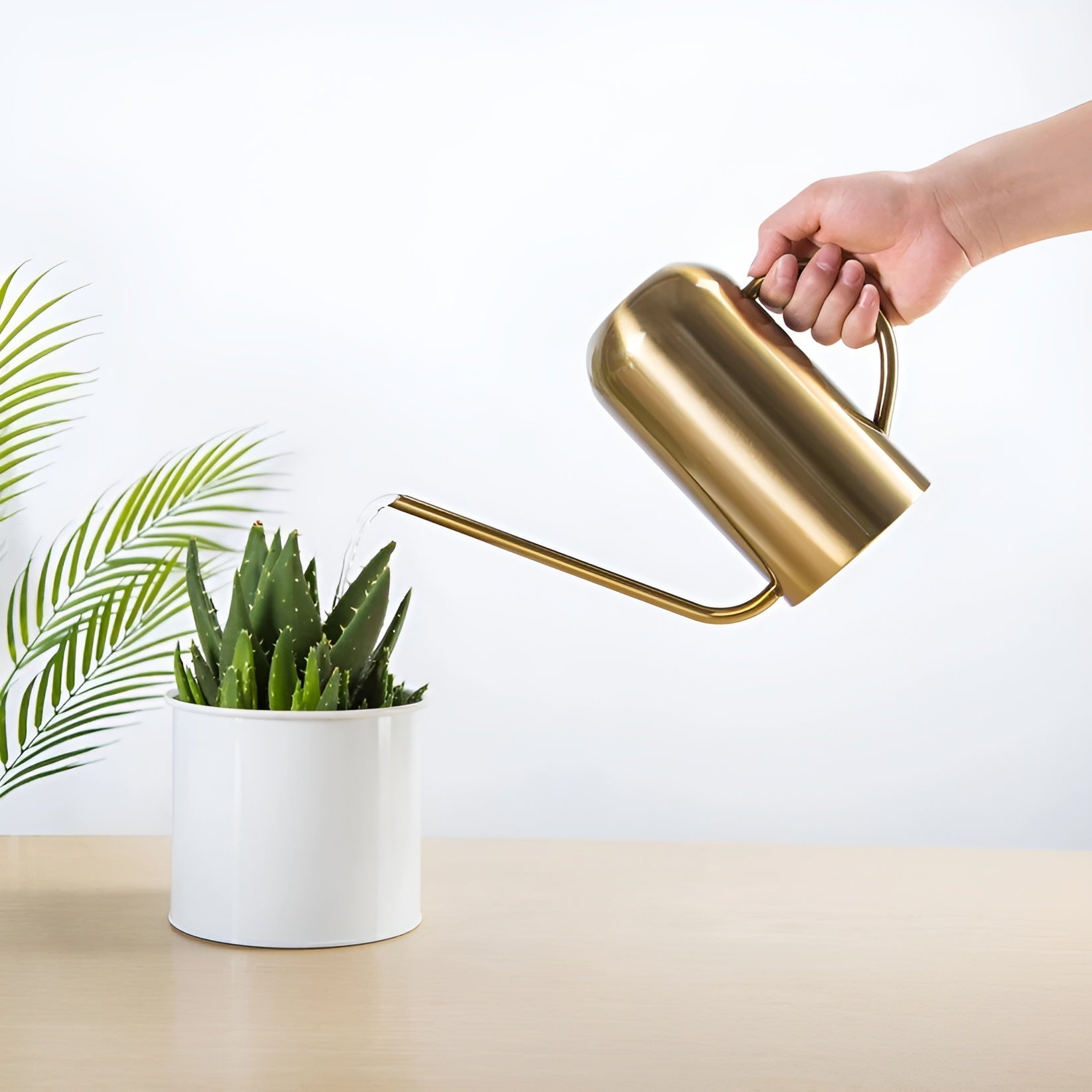 Watering Can Stainless Steel Long Precision Spout Ergonomic Handle