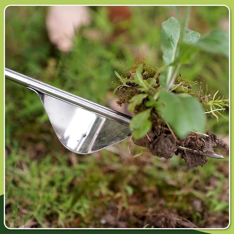 Weed Remover V-Shaped Stainless Steel Blade Ergonomic Ash Handle