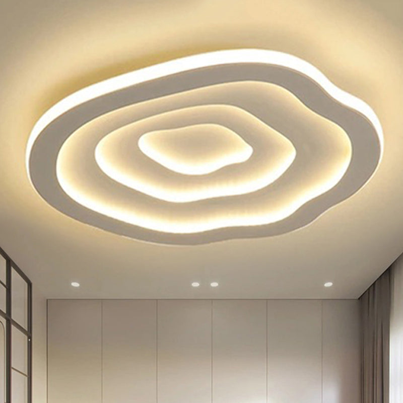 Acrylic Ceiling Light Fixture with Warm and Cool White LED Illumination