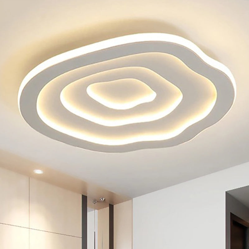 Acrylic Ceiling Light Fixture with Warm and Cool White LED Illumination