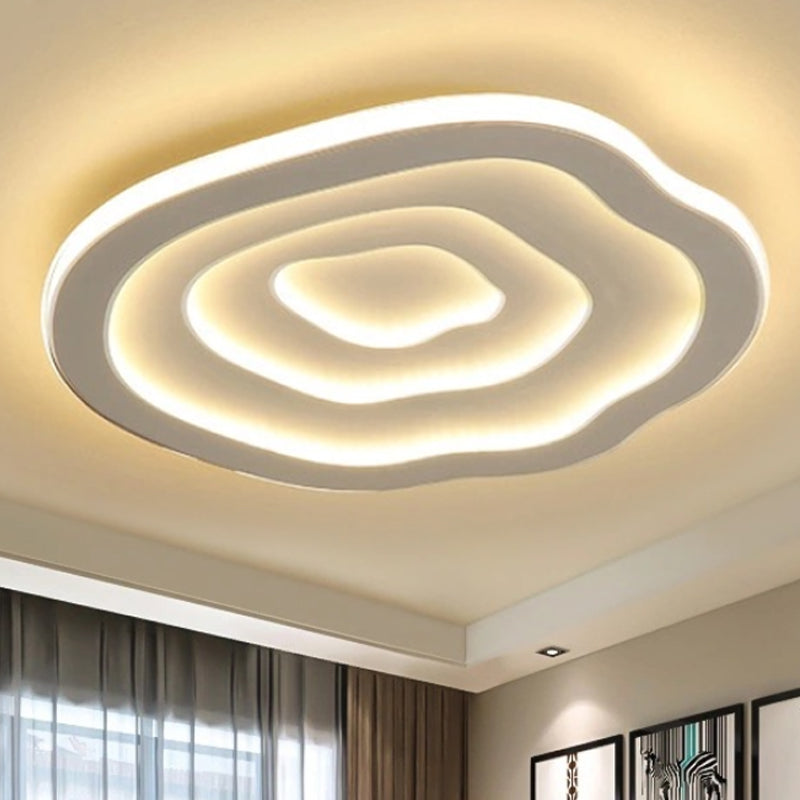 Acrylic Ceiling Light Fixture with Warm and Cool White LED Illumination