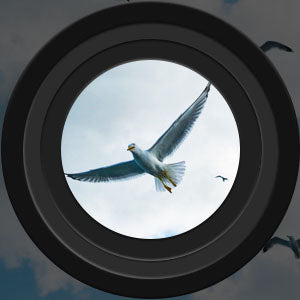 Premium Long-Distance Night Vision Binoculars