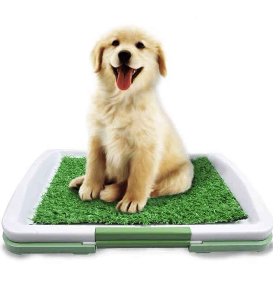 Indoor/Outdoor Pet Relief Station with Easy Clean Design