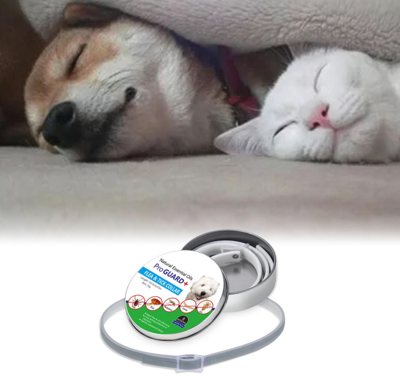 Flea & Tick Defense Collar for Dogs