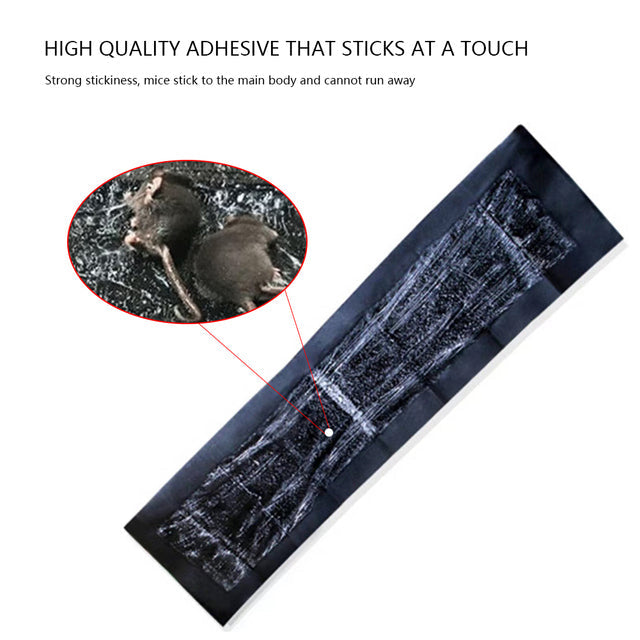 5 Oversized Adhesive Traps for Effective Rodent Control