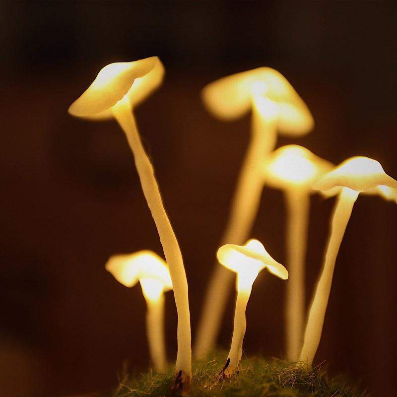 DIY Lamp Kit for Tabletop Use - Mushroom Design