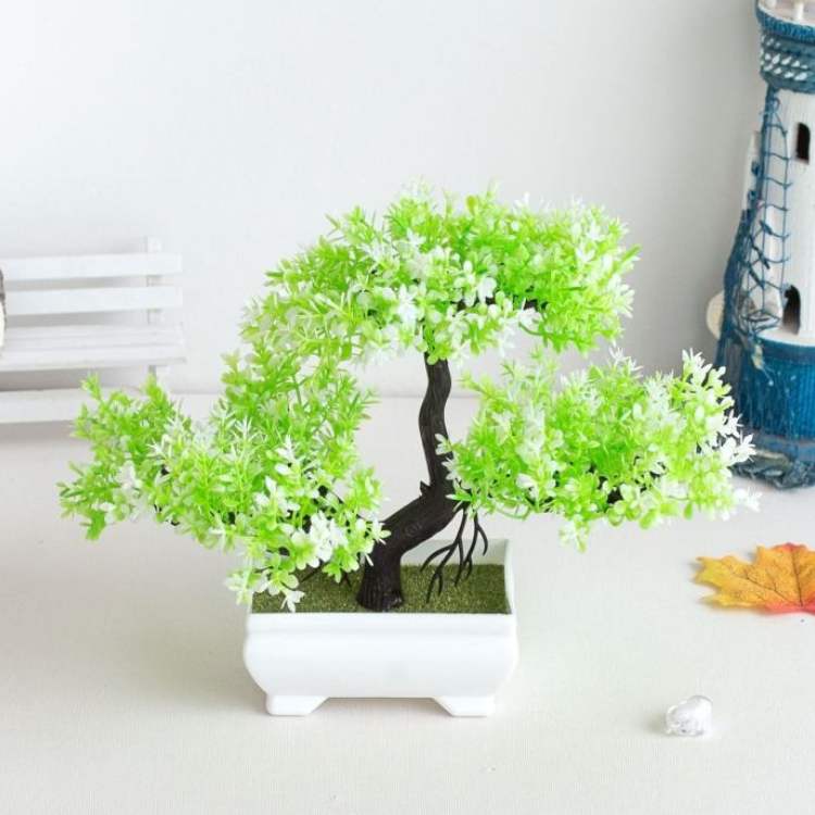 Elegant Lotus Blossom in Modern Planter for Indoor Spaces