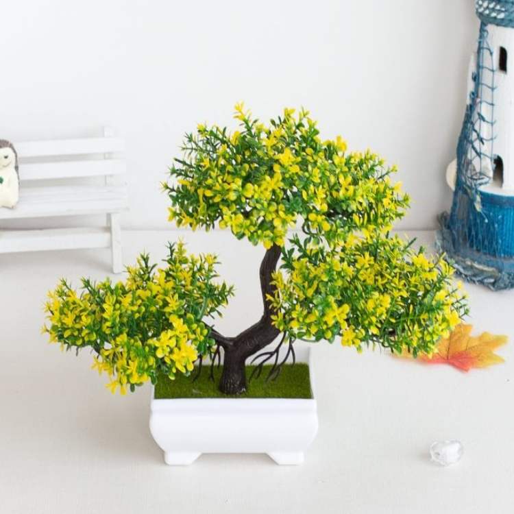 Elegant Lotus Blossom in Modern Planter for Indoor Spaces