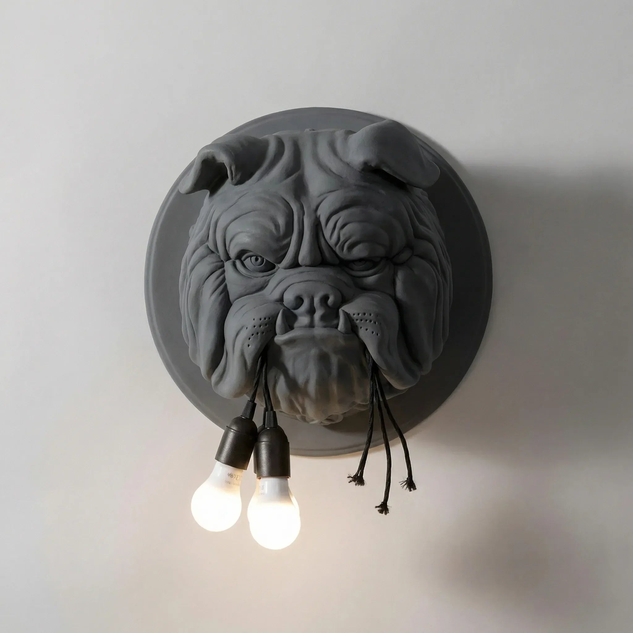Sculpted Wall Light Fixture – Decorative Sconce