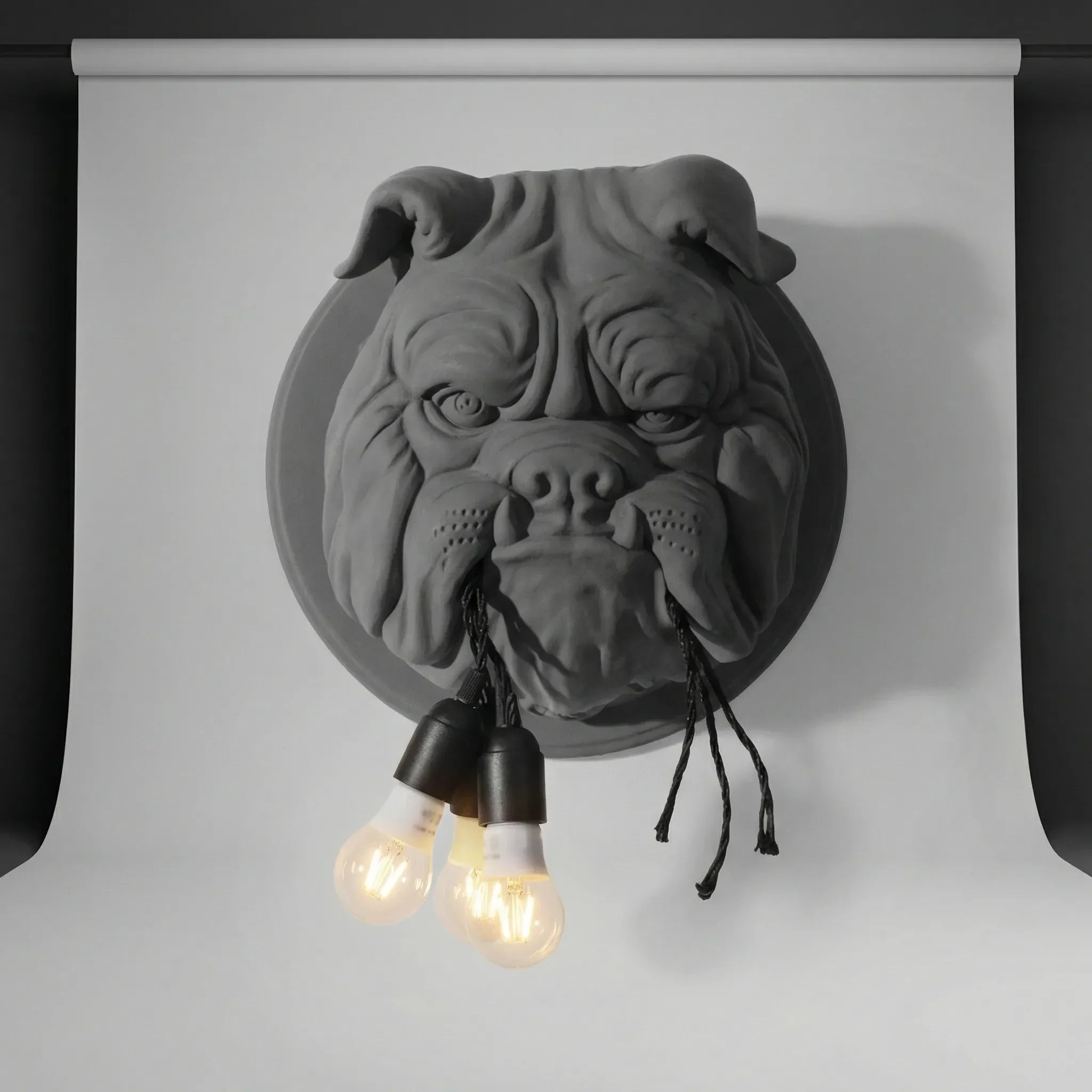 Sculpted Wall Light Fixture – Decorative Sconce