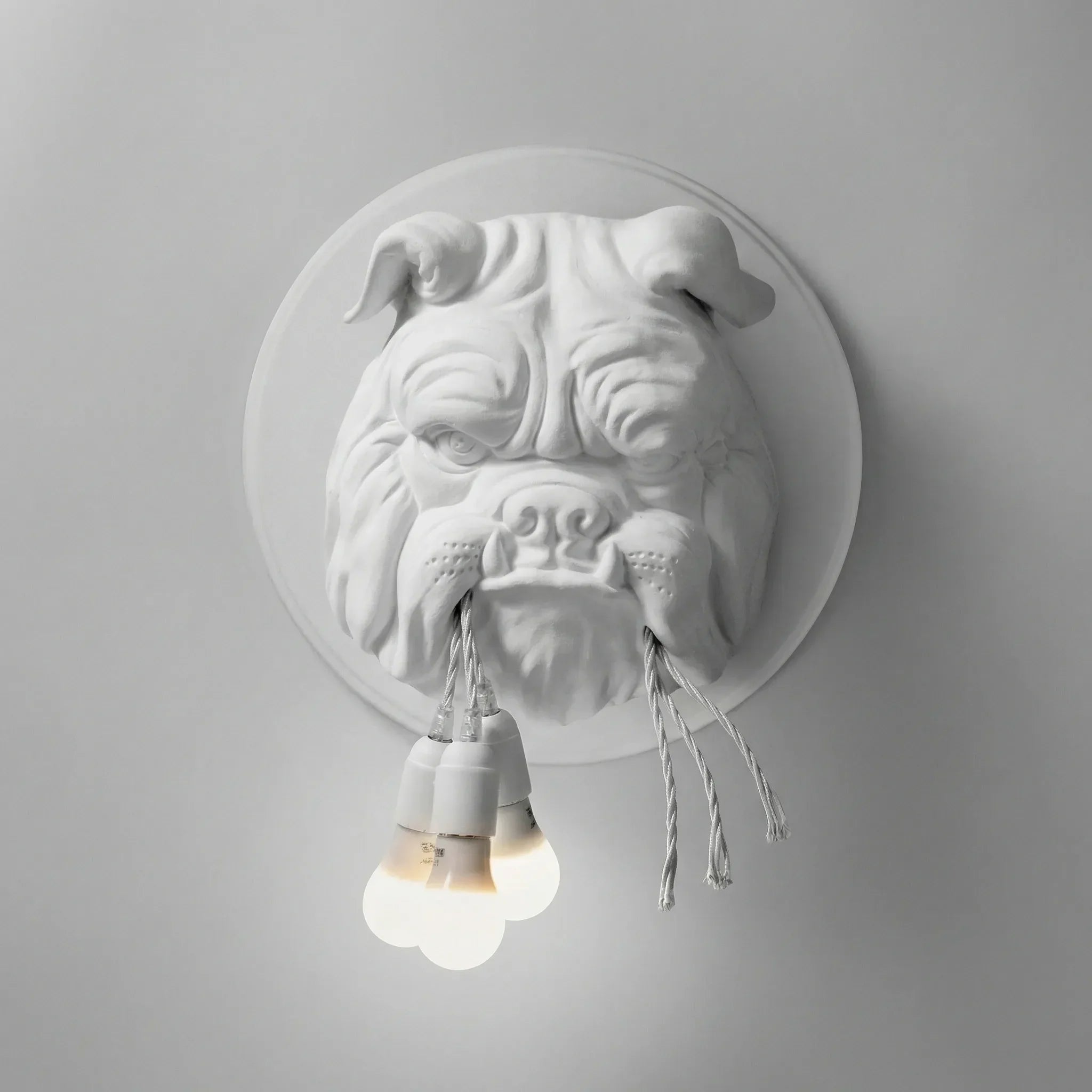Sculpted Wall Light Fixture – Decorative Sconce