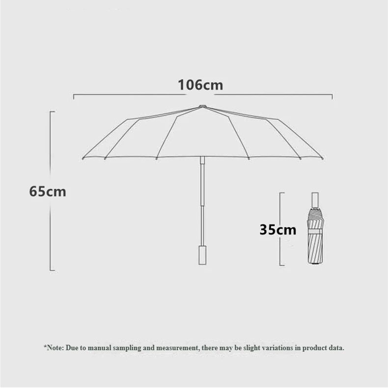 RainGuard – Fully Automatic Folding Umbrella