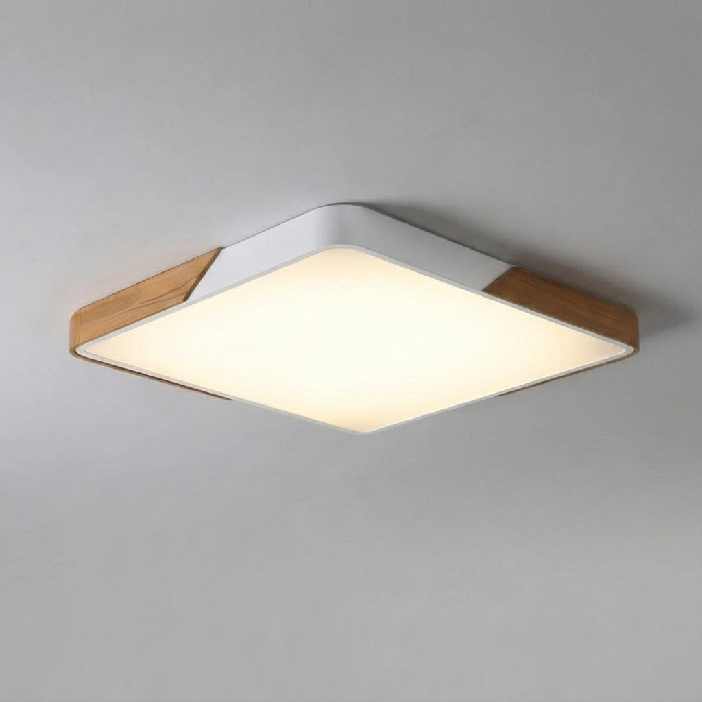 Adjustable Brightness LED Ceiling Light Fixture