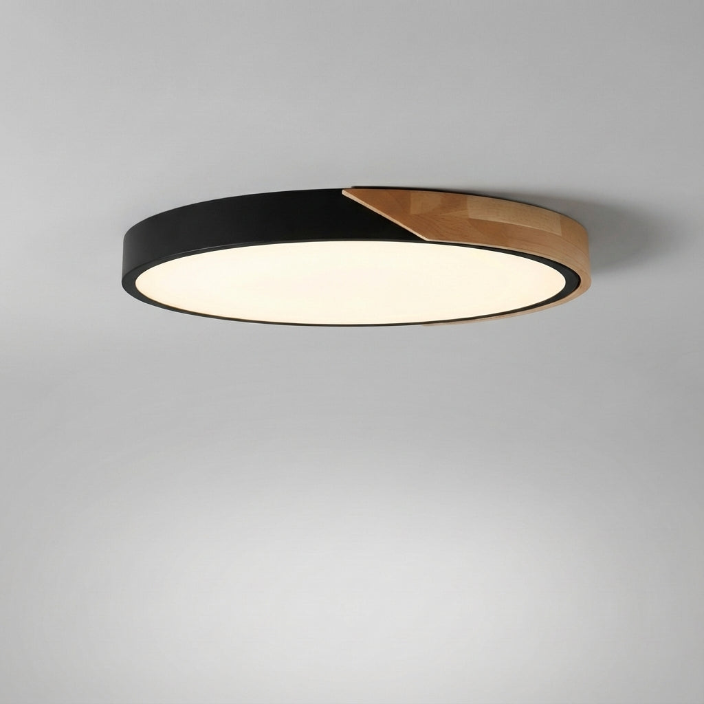 Adjustable Brightness LED Ceiling Light Fixture
