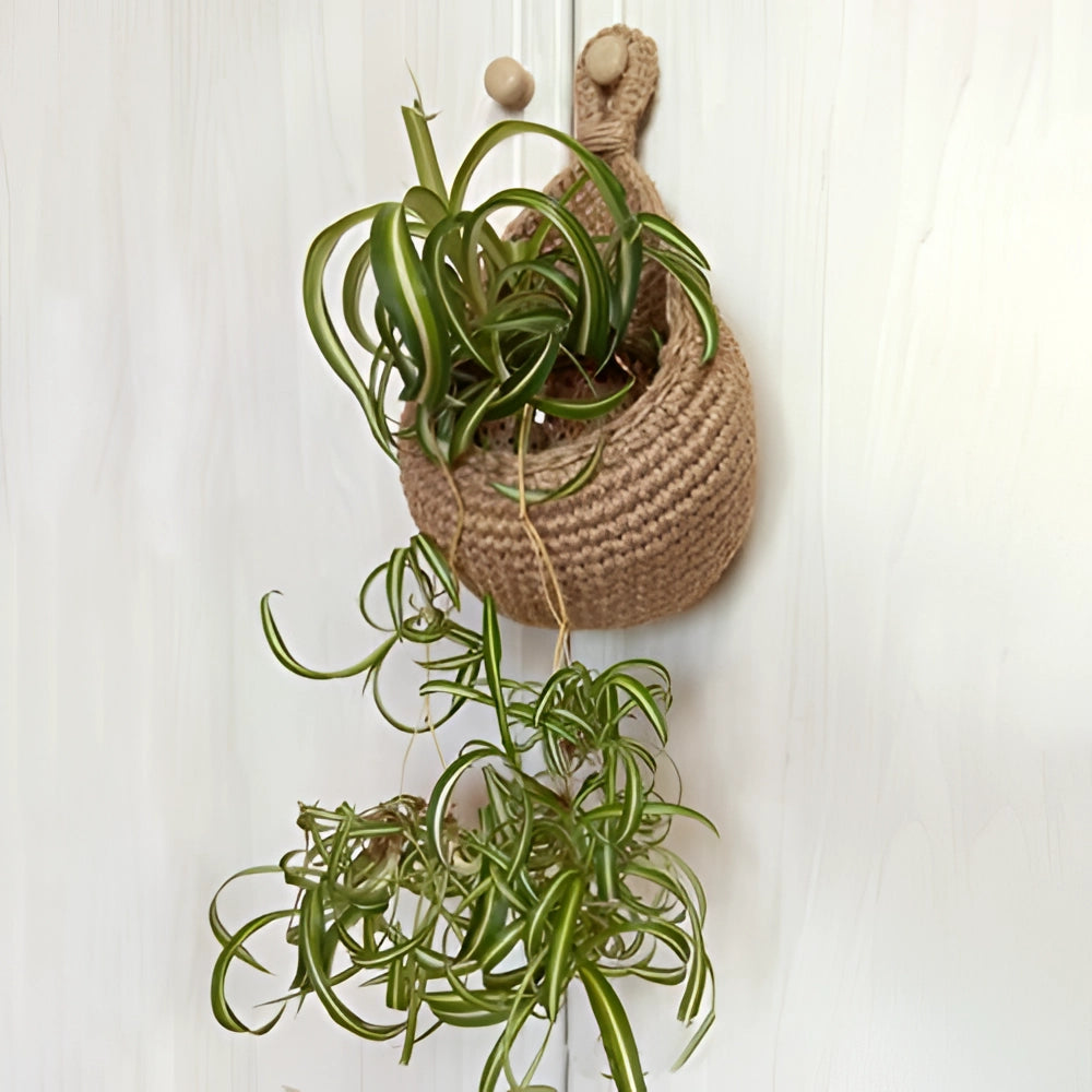 Stylish Eco-Conscious Hanging Baskets | Jute Storage Solution
