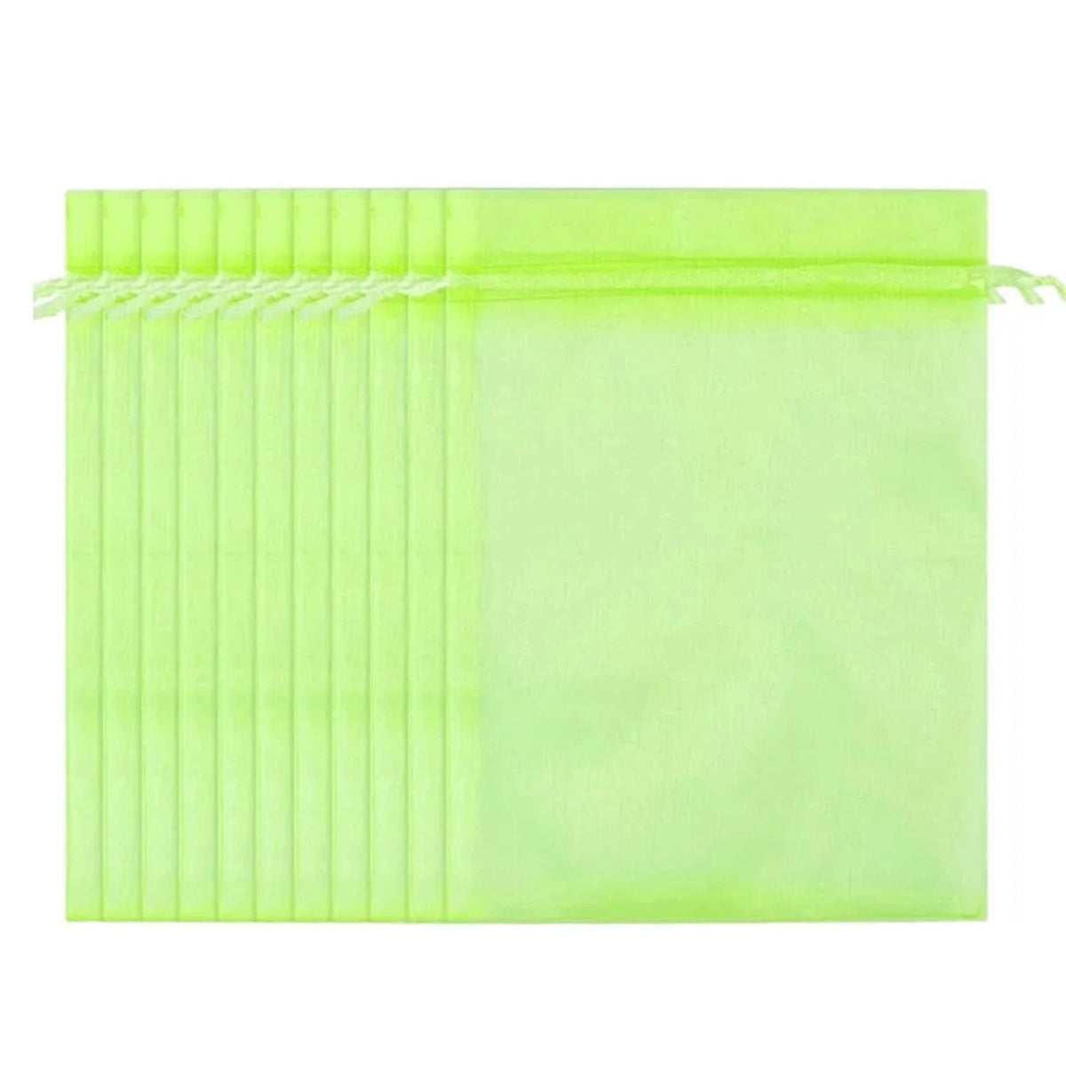 EcoGuard – Protective Bags for Garden Fruits and Plants