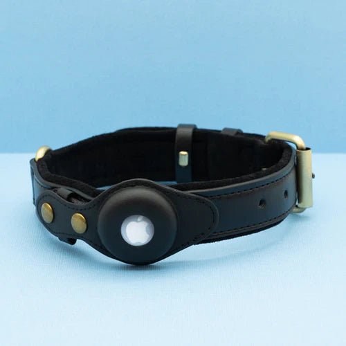 TrackMate | Stylish Dog Collar with AirTag Holder for Easy Tracking
