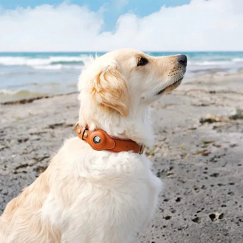 TrackMate | Stylish Dog Collar with AirTag Holder for Easy Tracking