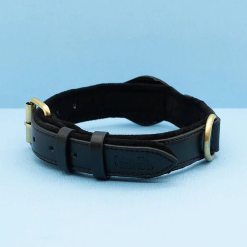 TrackMate | Stylish Dog Collar with AirTag Holder for Easy Tracking