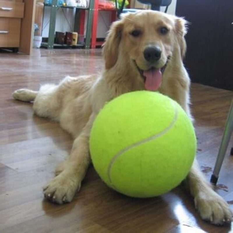 Extra-Large Play Ball for Dogs – 24 cm Diameter Fun