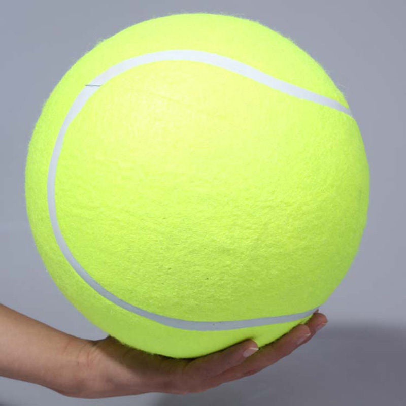 Extra-Large Play Ball for Dogs – 24 cm Diameter Fun